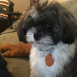 Meet your Posher, Judy